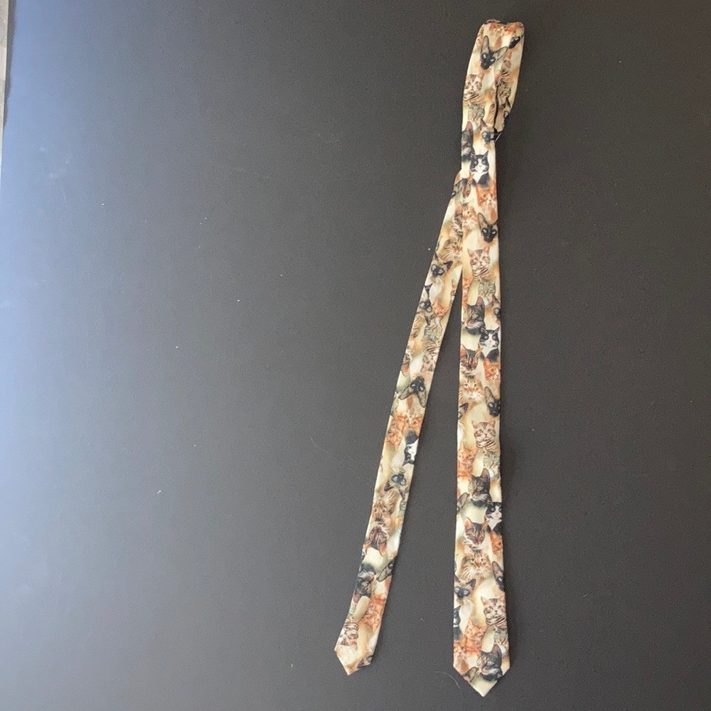 Whimsical skinny cat tie